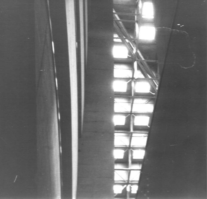 Interno: tromba dell'ascensore
