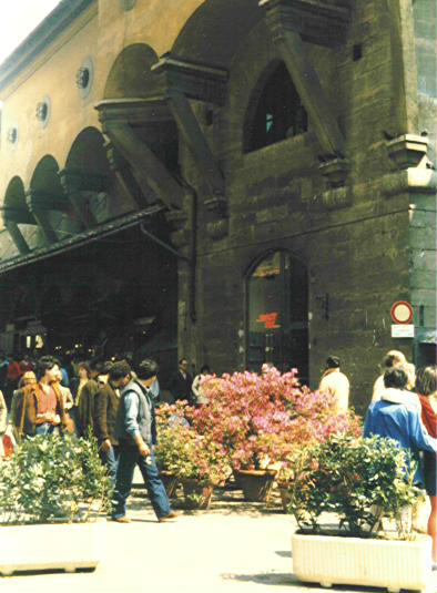 Fioriere all'imbocco di Ponte Vecchio
